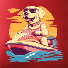 Zlatý retriever na vodnom skútri