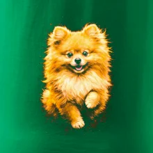 Obrázok poltón Pomoranský špic