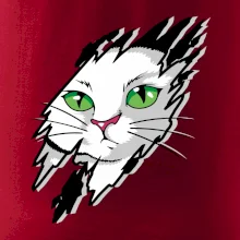 Kočka v roztrženém triku Kočka v roztrženém triku