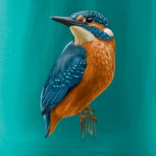 Ľadnáčik kreslený