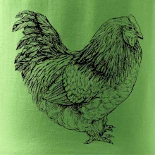 Sliepka čiernobiela