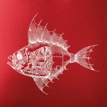 Steampunk ryba Steampunk ryba