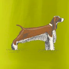 Vintage Springer spaniel