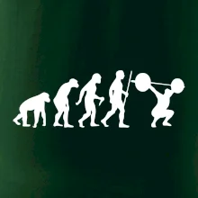 Evolution fitness