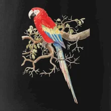 Papagáj  na listnatom strome