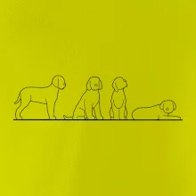 Lagotto romagnolo postavy linka