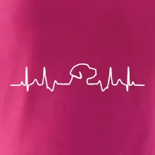 Labradorský retriever EKG Labradorský retriever EKG