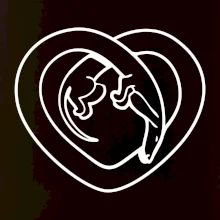 Jazvečík srdca - obrys