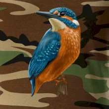 Ľadnáčik kreslený Ľadnáčik kreslený