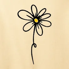 Kopretina - dole na výšku