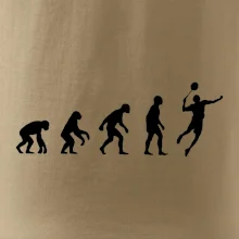 Evolúcia Bedminton