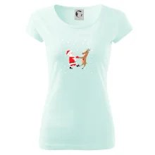 Tancujúci Santa a sob Tancujúci Santa a sob