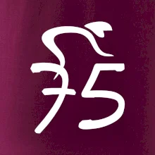 Cyklista oslavuje sedemdesiatpäťpäťky (75)