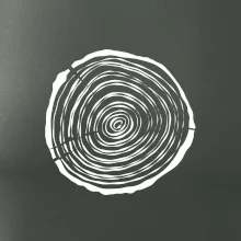 Letokruhy 15 bez veku