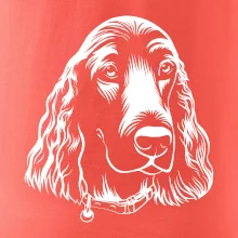 Kokeršpaniel - hlava kreslená