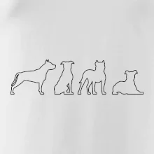 Americký stafordšírsky teriér v rôznych pozíciách