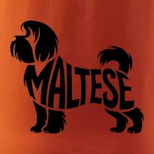 Maltézsky psík nápis v tele