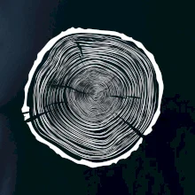 Letokruhy 75 bez veku