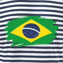 Brazília vlajka štetkou Brazília vlajka štetkou