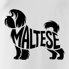 Maltézsky psík nápis v tele