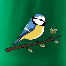 Sýkorka modrinka na vetve