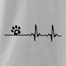 Veterinár EKG Veterinár EKG