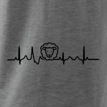 Ekg ovce Ekg ovce