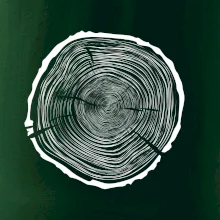 Letokruhy 75 bez veku