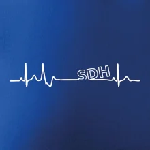 SDH EKG SDH EKG