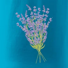 Levanduľa kreslená