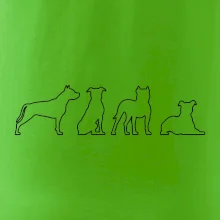 Americký stafordšírsky teriér v rôznych pozíciách