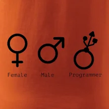 Female male programmer