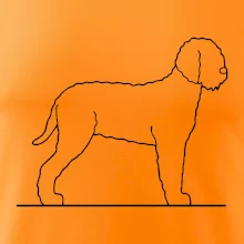 Lagotto romagnolo stojaci