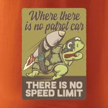 Korytnačka na cestách