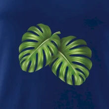 Monstera - dva listy Monstera - dva listy