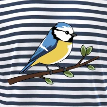 Sýkorka modrinka na vetve