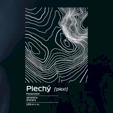 Plechý - vrstevnice v obdĺžniku