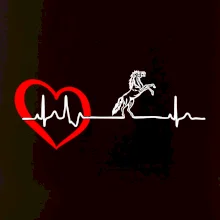 Moje srdce bije pre kone Moje srdce bije pre kone