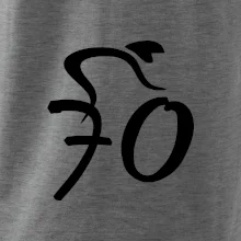 Cyklista oslavuje sedemdesiatku (70)