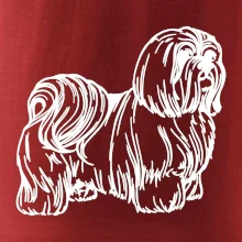 Shih-tzu - chlpatý