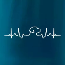 Labradorský retriever EKG Labradorský retriever EKG