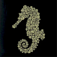 Sea Horse icons Sea Horse icons