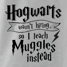 Harry - Hogwarts wasn’t hiring, so I teach Muggles instead
