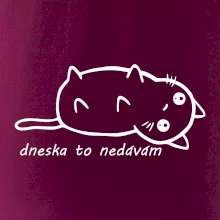 Dnes to nedávam