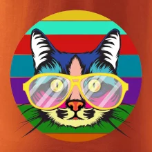 Mačka pri farebnom západe