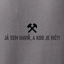 JÁ SEM HAVIŘ, A KDO JE VIĆ?!﻿