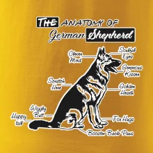 Nemecký ovčiak - Anatómia Nemecký ovčiak - Anatómia