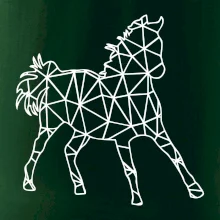 Geometria - kôň Geometria - kôň
