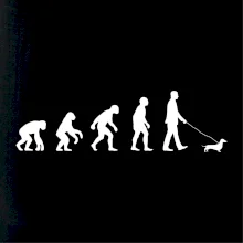 Jazvečík Evolúcia muž / žena