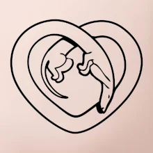 Jazvečík srdca - obrys